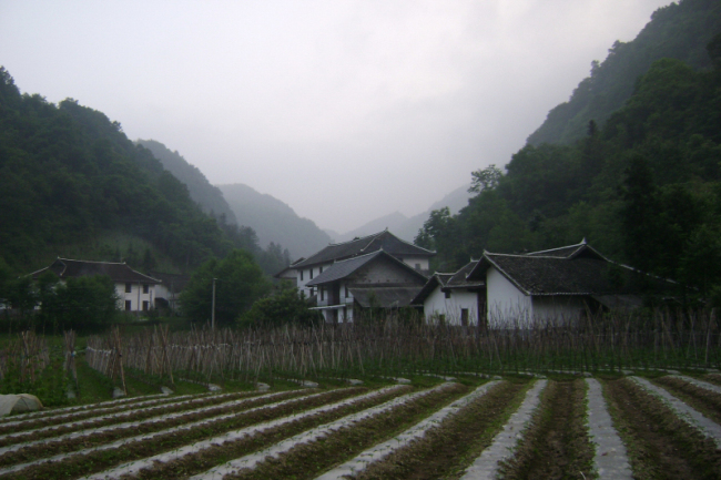 dsc03075_༭.jpg