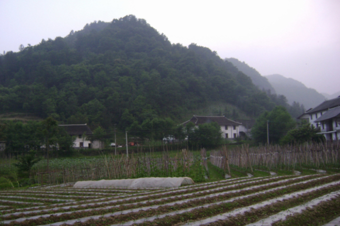 dsc03076_༭_༭.jpg