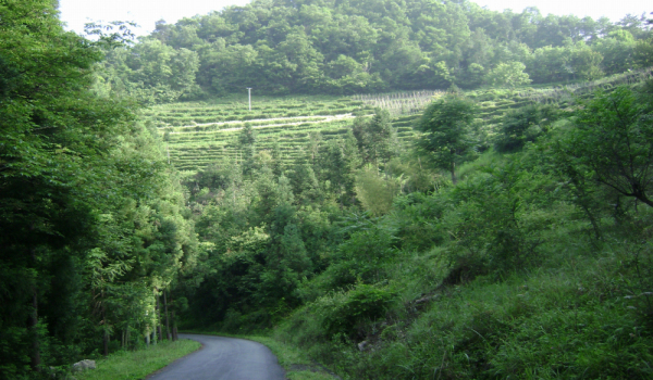 dsc03081_༭_༭.jpg
