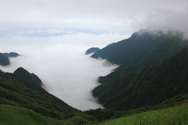 Զƽƺ.jpg