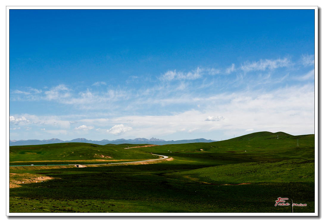 dsc_0971.jpg