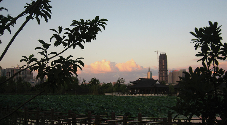 img_2870_2.jpg