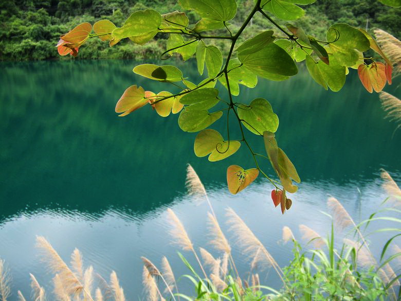 neo_img_100_9547.jpg