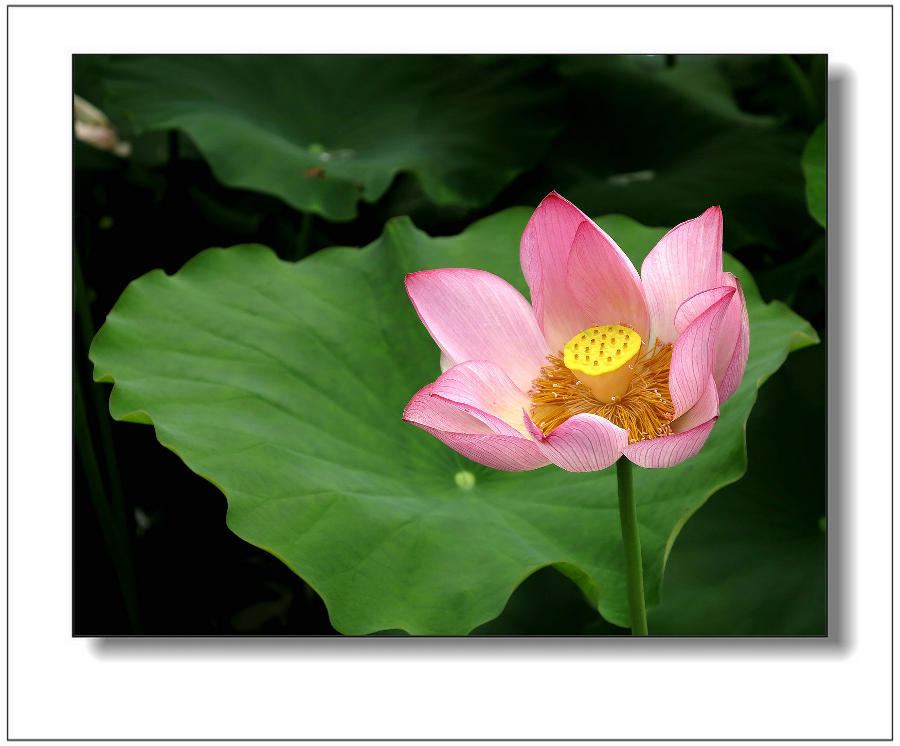 img_1425ay.jpg