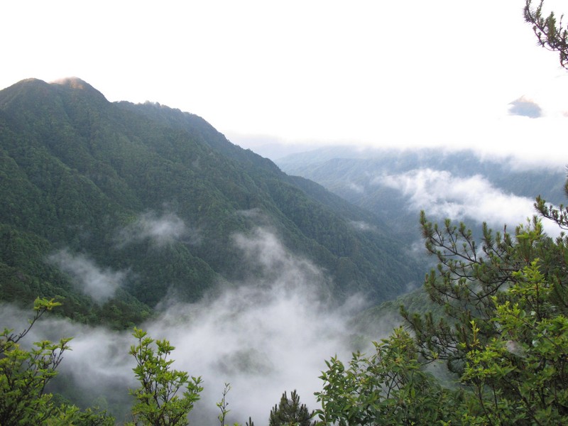 simg_0858.jpg