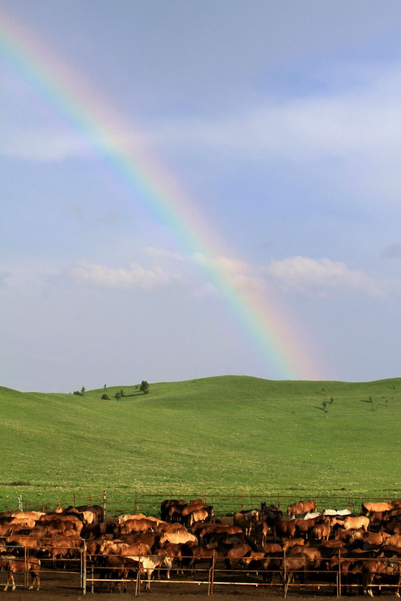 ˲ʺ.jpg