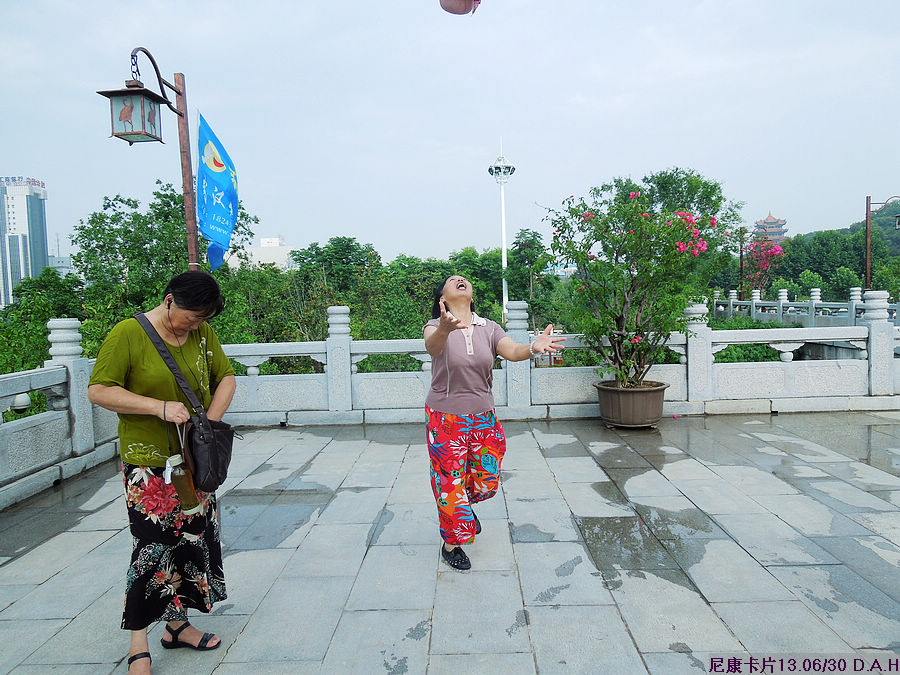 dscn0919.jpg