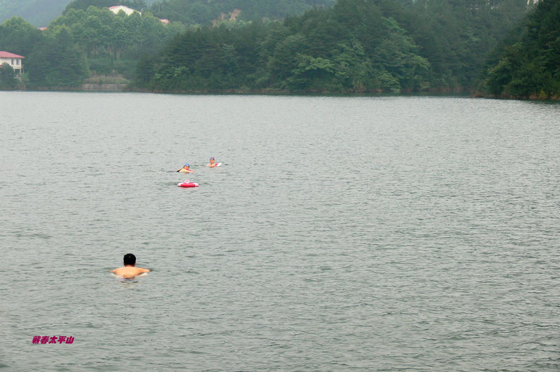 p1270582.jpg