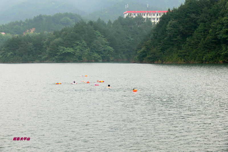 p1270586.jpg