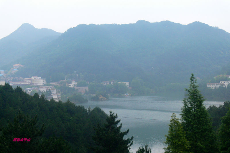 p1270595.jpg