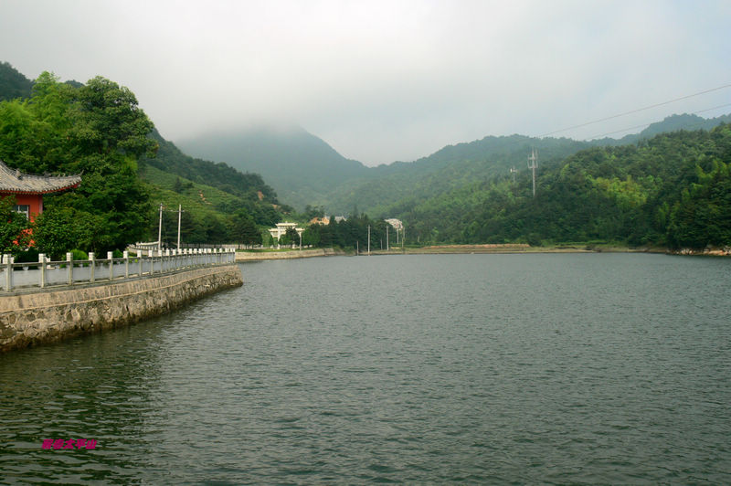 p1270597.jpg