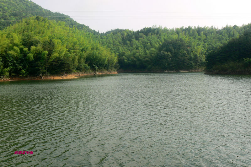 p1270600.jpg