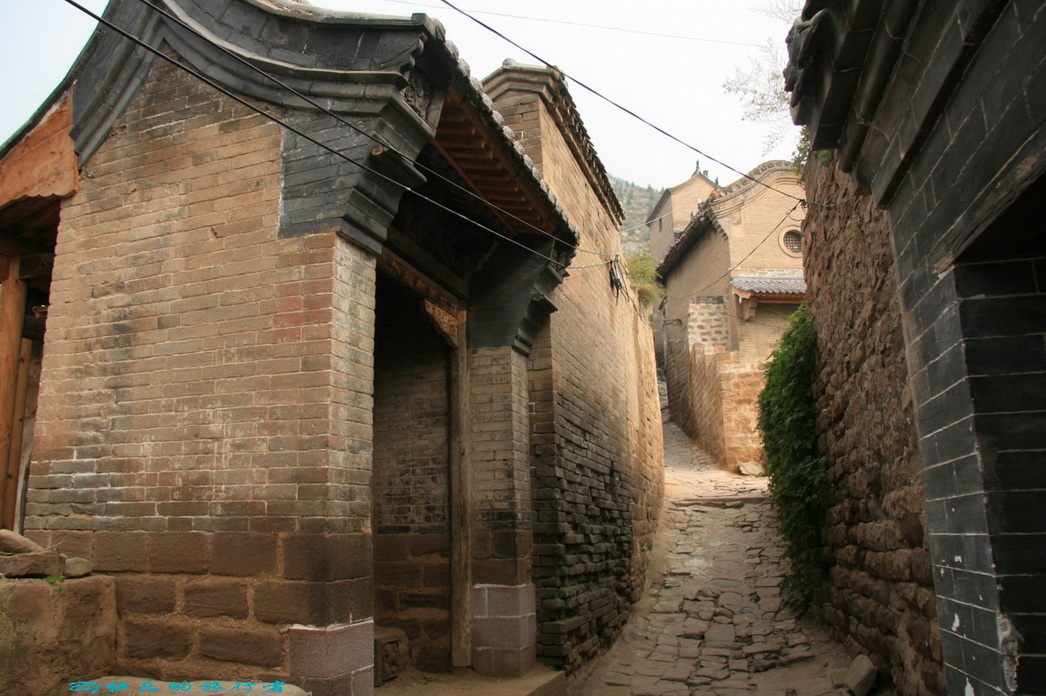 2161.jpg
