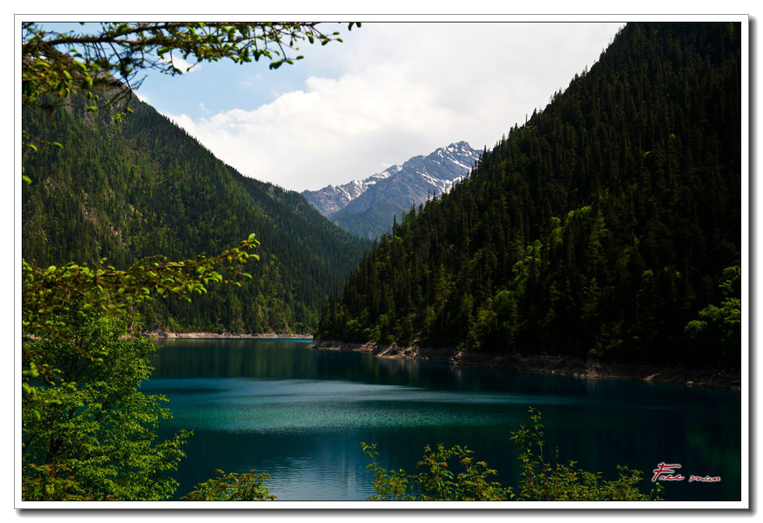 dsc_1210.jpg