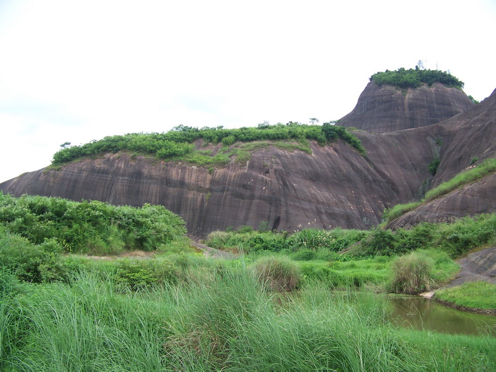 100_9645.jpg