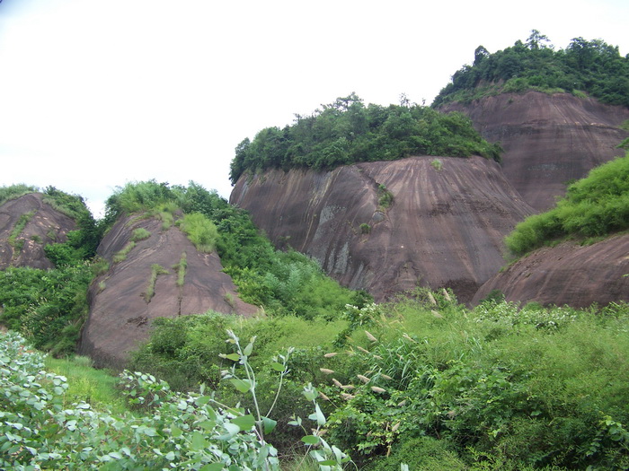 100_9643.jpg
