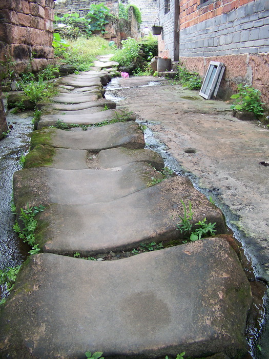 100_9654.jpg