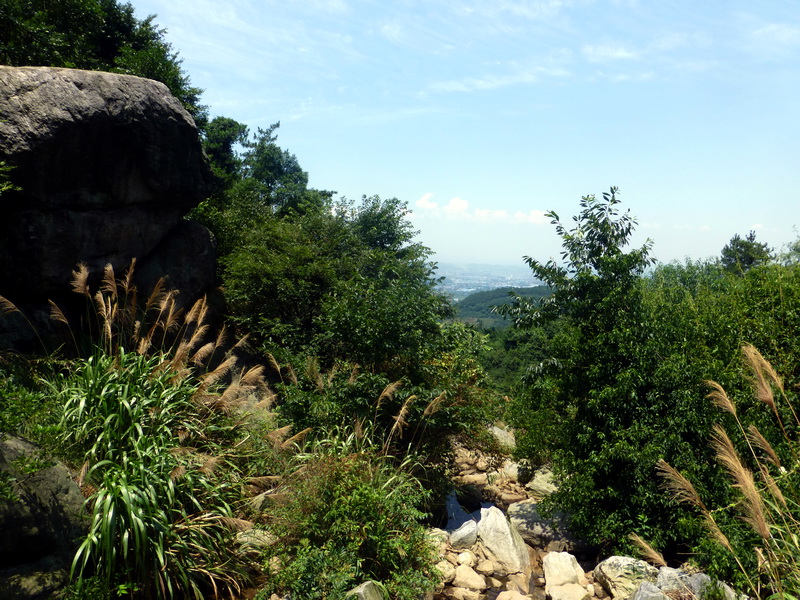 p1090024.jpg