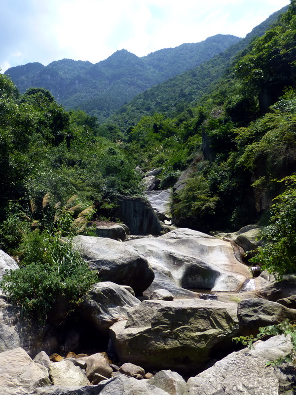 p1090025.jpg