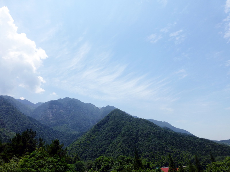 p1090017.jpg