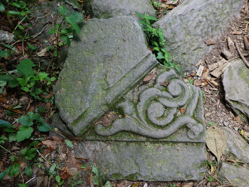 p1090045.jpg