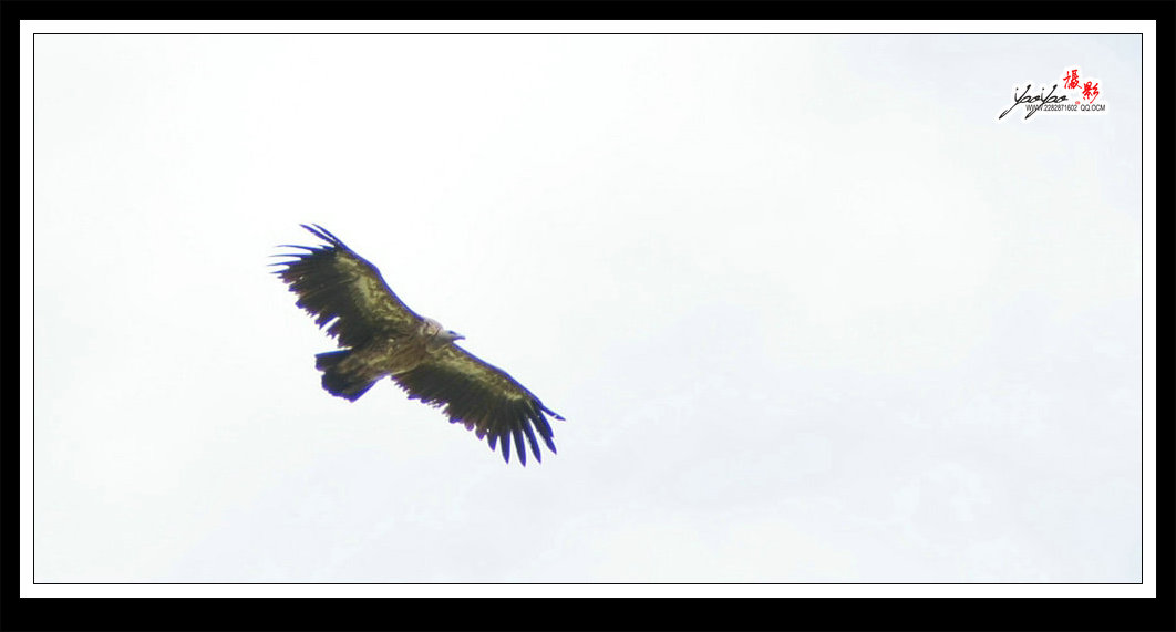 dsc_5015.jpg