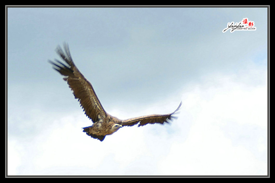 dsc_5021.jpg