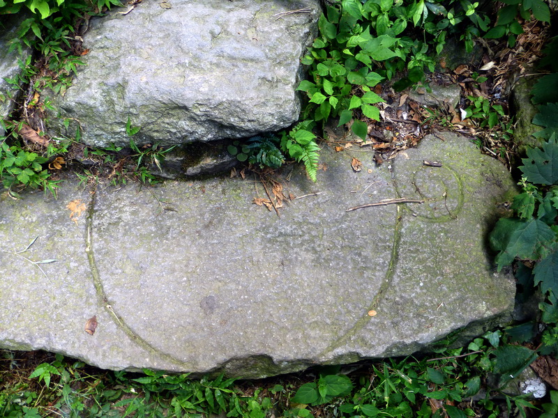 p1090052.jpg