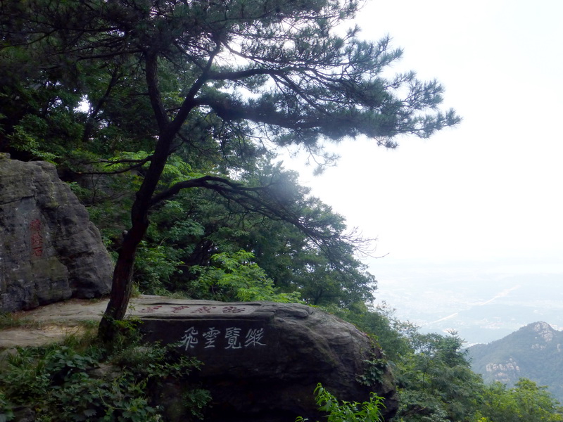 p1090067.jpg