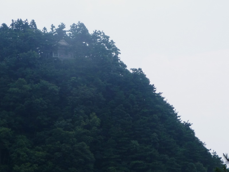 p1090079.jpg