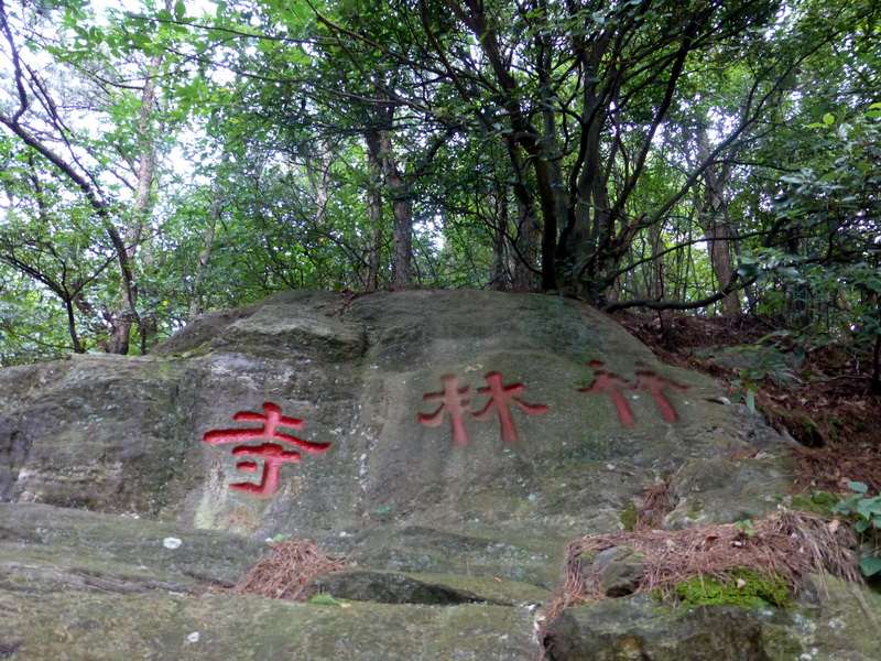 p1090080.jpg