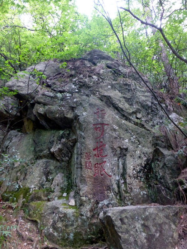 p1090082.jpg