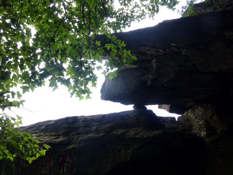 p1090085.jpg