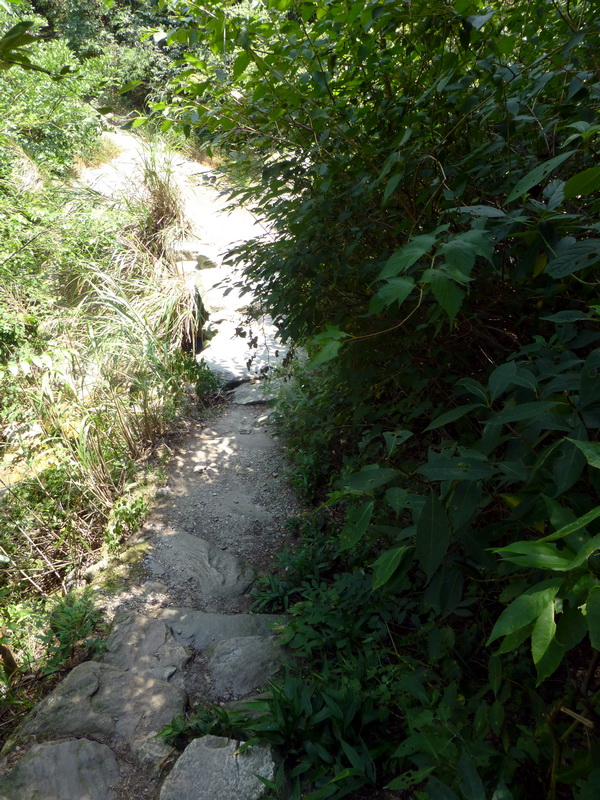 p1090027.jpg