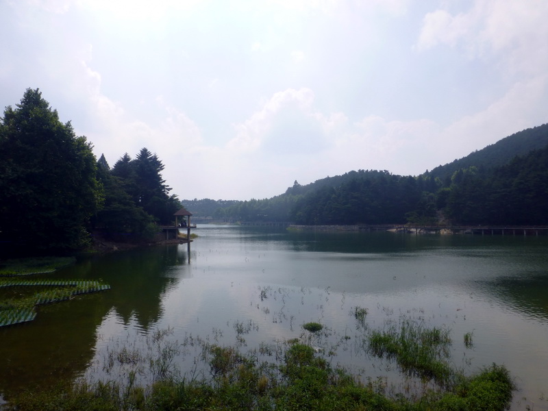 p1090131.jpg