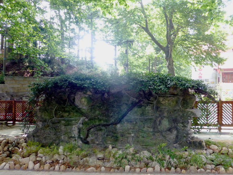 p1090135.jpg