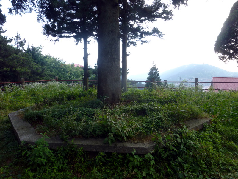 p1090154.jpg
