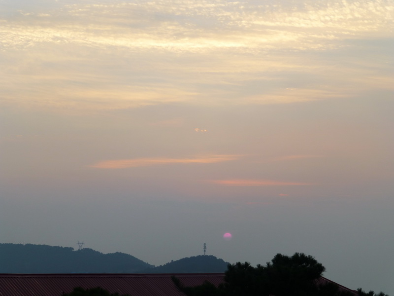 p1090183.jpg