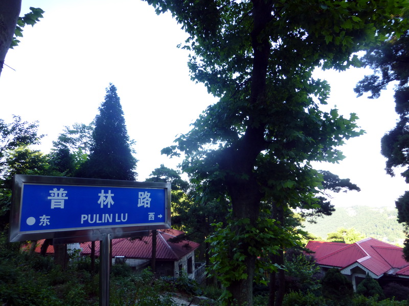 p1090192.jpg