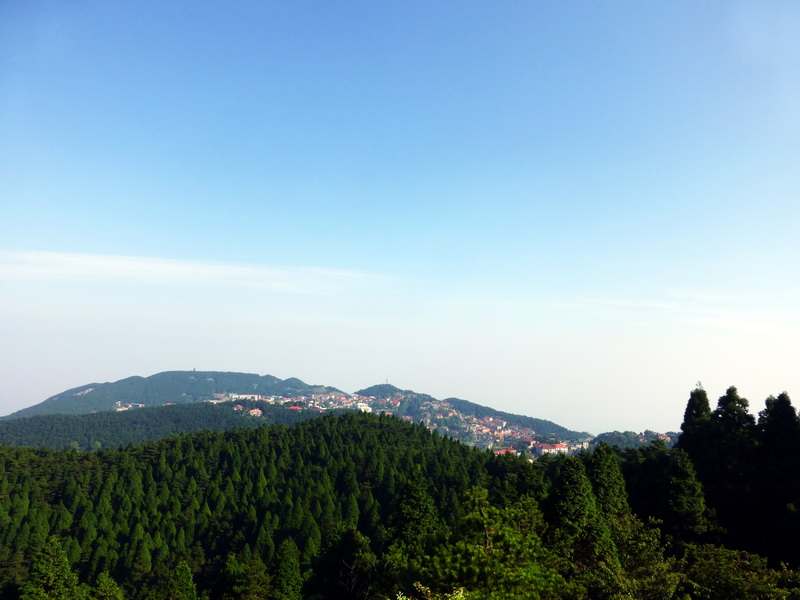 p1090207.jpg