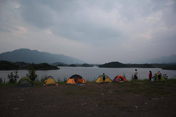 010.jpg
