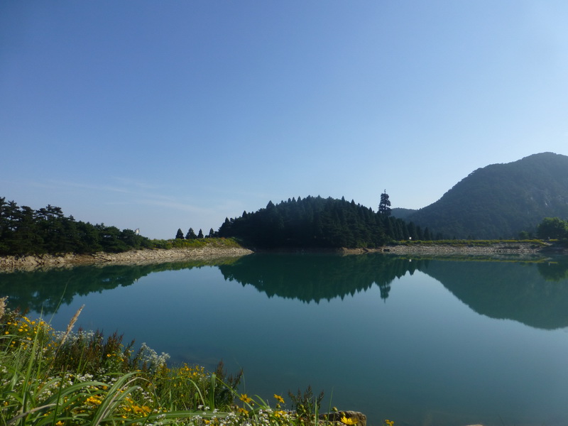 p1090211.jpg