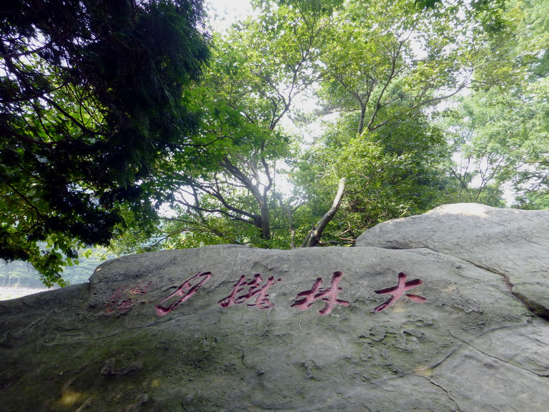 p1090128.jpg