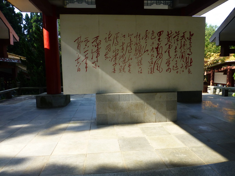 p1090221.jpg