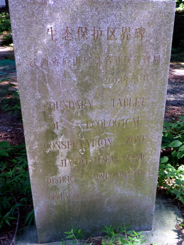 p1090240.jpg