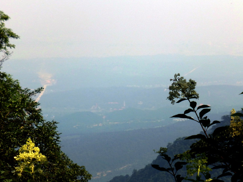 p1090254.jpg
