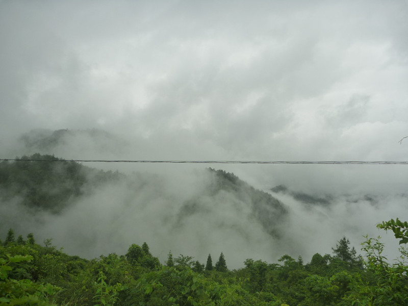 p1150491_.jpg