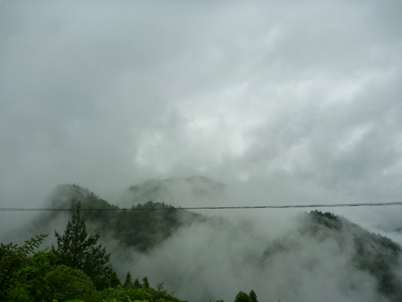 p1150492_.jpg
