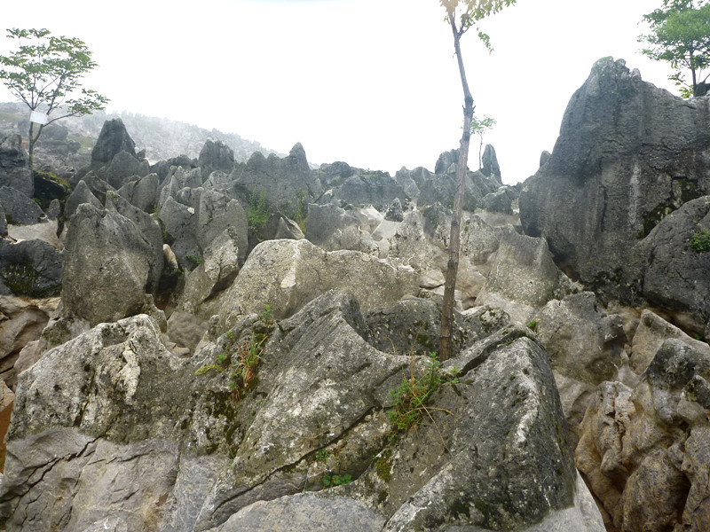 p1150505_.jpg
