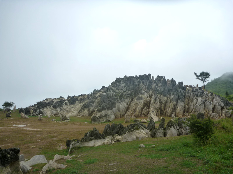 p1150506_.jpg